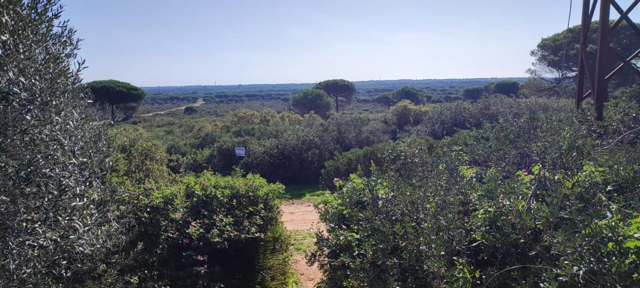 Casa En Loma Sancti Petri A 900 M De La Playa De La Barrosa Villa Chiclana de la Frontera Luaran gambar